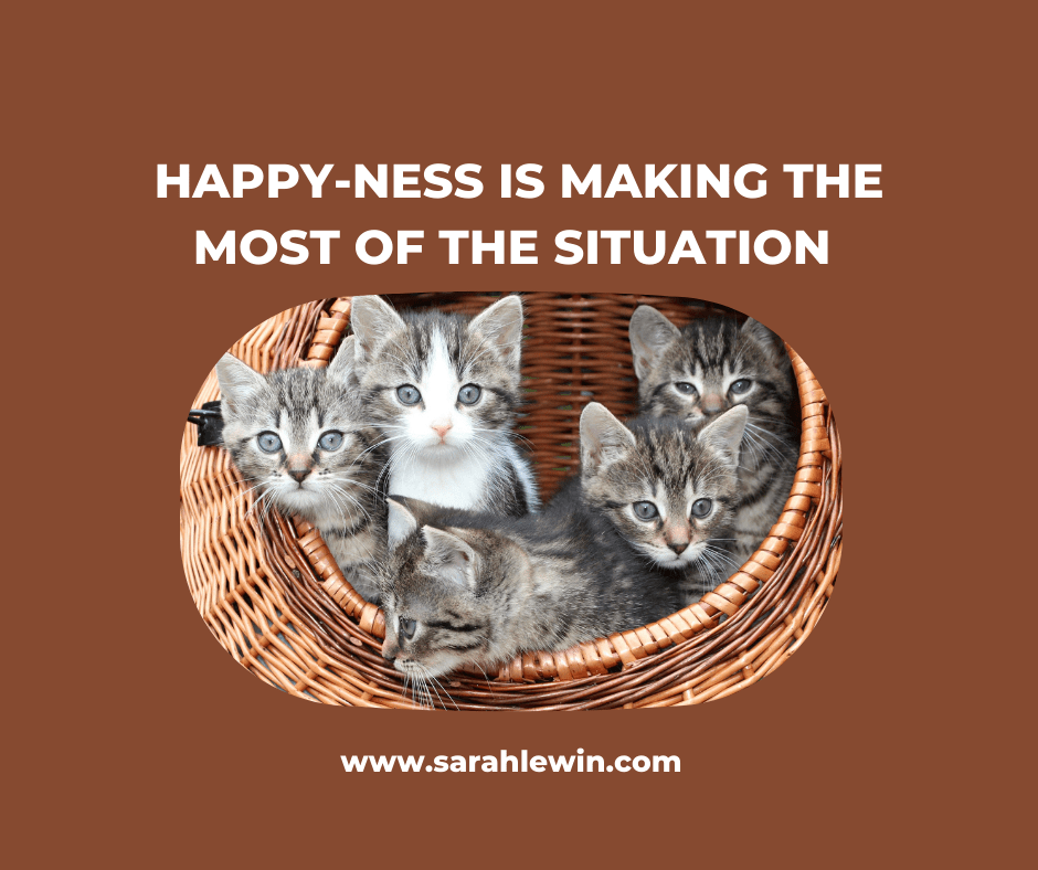 A Hermit With Forty-Six&nbsp;Cats