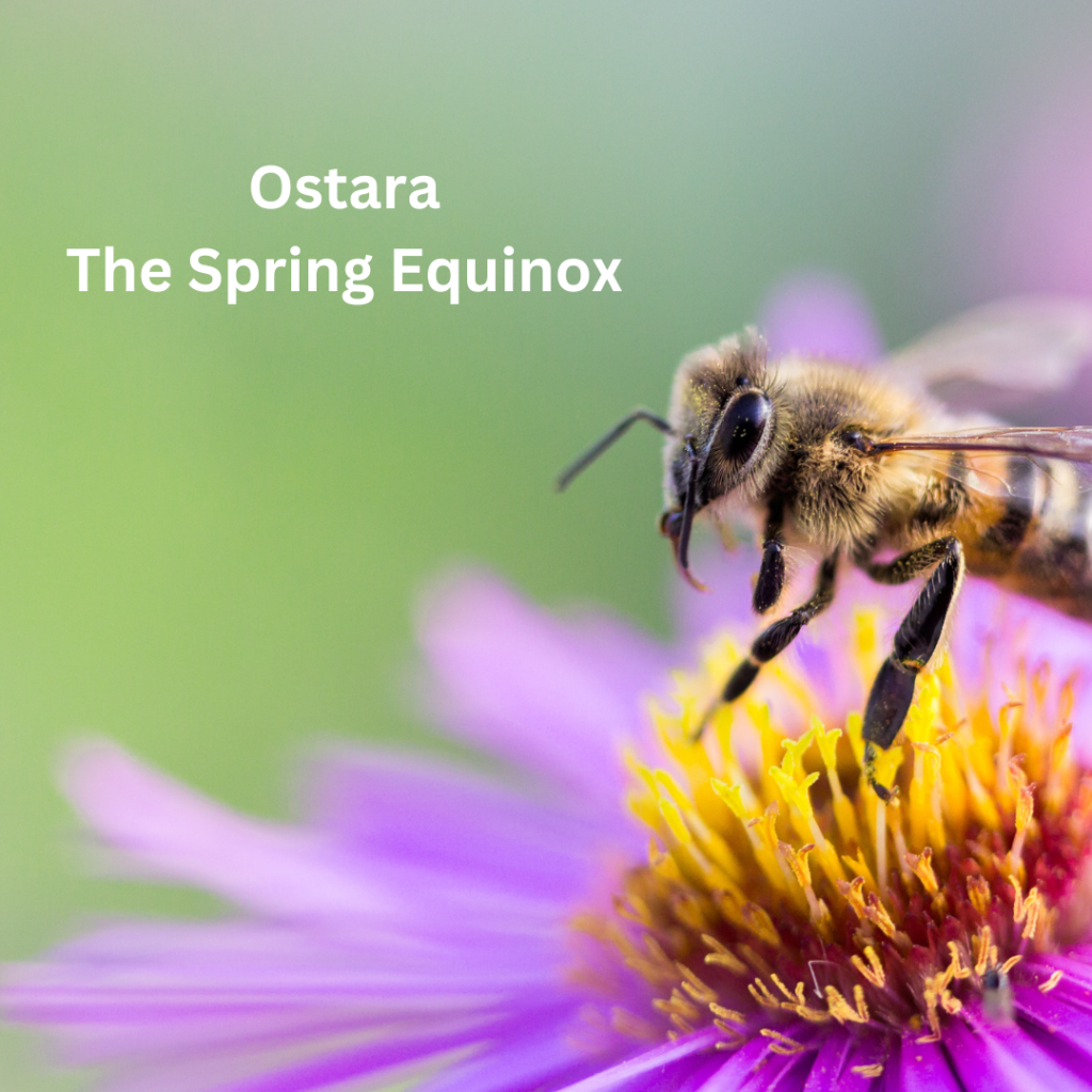 Ostara Celebrations: Spring Equinox Activities You’ll&nbsp;Love