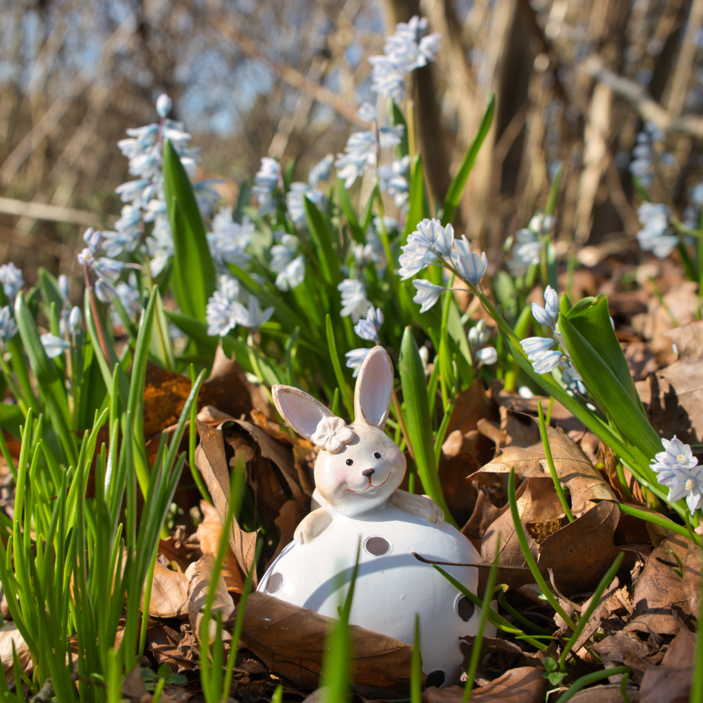 Special Days, Family and&nbsp;Magic